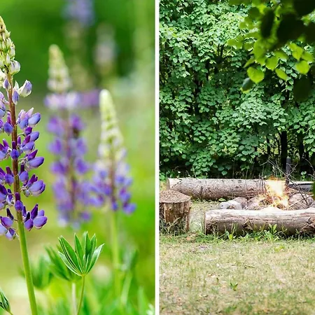 80608-vemb-knudehus-51